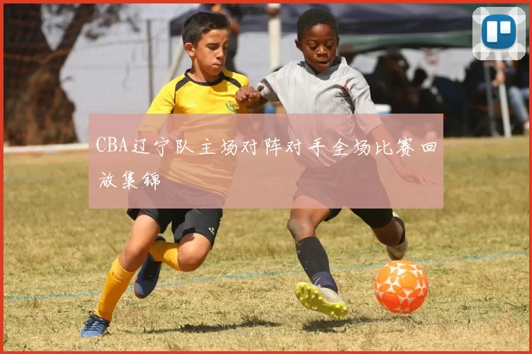 CBA辽宁队主场对阵对手全场比赛回放集锦