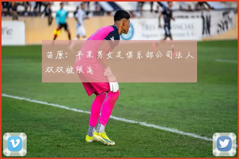 苗原：平果男女足俱乐部公司法人双双被限高
