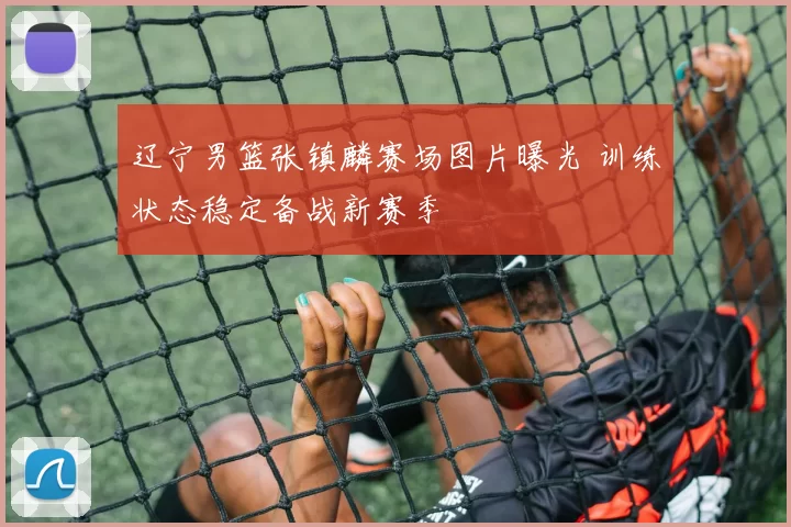 辽宁男篮张镇麟赛场图片曝光 训练状态稳定备战新赛季