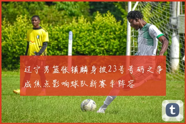 辽宁男篮张镇麟身披23号号码之争成焦点影响球队新赛季阵容