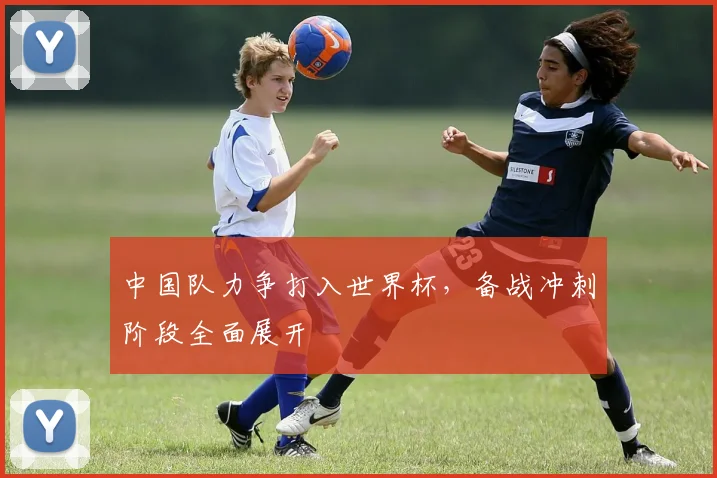 中国队力争打入世界杯，备战冲刺阶段全面展开